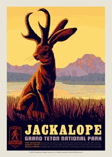 Grand Teton's Jackalope Postcard | USA Made