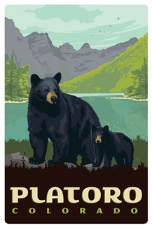Platoro CO Black Bears Magnetic Postcard