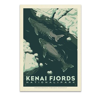 Kenai Fjords NP Whale Watching | Postcard