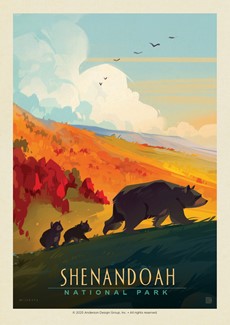Shenandoah NP Mama Bear & Cubs | Postcard