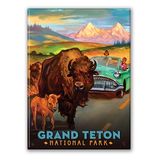 Grand Teton Bison Magnet| American Made Magnet