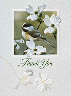 Springtime Chickadee | Boxed notecards