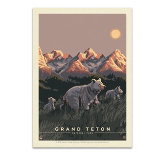 Grand Teton NP Cub Scouts Postcard | USA Made
