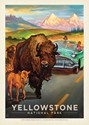 Yellowstone Bison Crossing Postcard