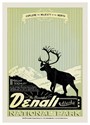 Denali Explore Majesty Postcard