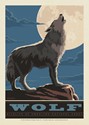 National Park Wildlife Wolf Postcard