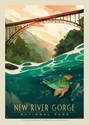 New River Gorge National Park & Preserve Fish-Eye View Postcard