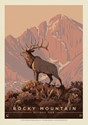 Rocky Mountain NP Lone Elk Postcard