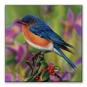Berry Blue Square Magnet