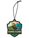 Channel Islands NP Inspiration Point Emblem WO