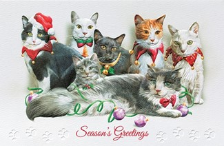 Festive Felines