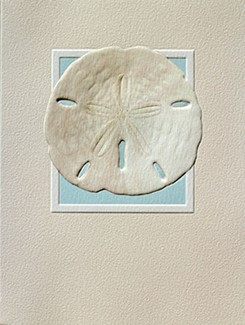 Sand Dollar - BLANK