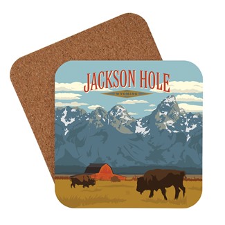 Jaskson Hole, WY Coaster