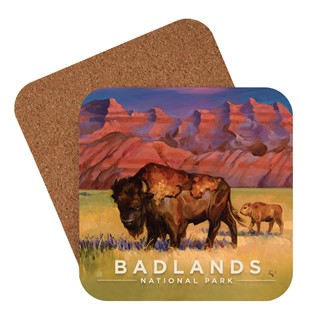 Badlands NP Bison Coaster