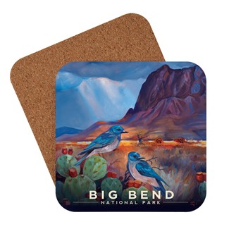 Big Bend NP Desert Perch Coaster