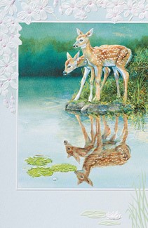 Fawns In Reflection (FRIN) Folded - W/Env