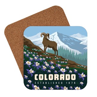 Columbine CO Coaster