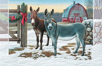 Delightful Donkeys