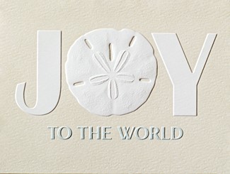 Sand Dollar Joy