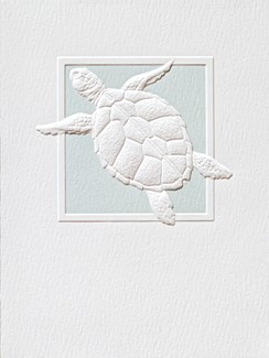 Sea Turtle Splash - BLANK