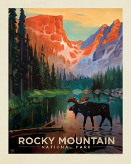 RMNP Moose In The Morning 8" x 10" Print