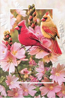 Cardinals In Mallow (FR) Folded - W/Env