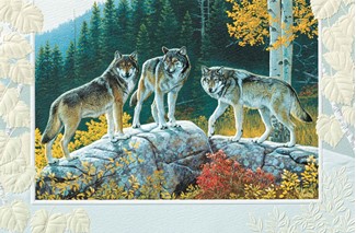 Trio Of Wolves Folded - W/Env