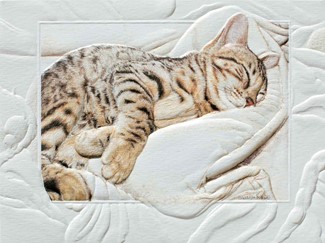 Bengal Baby (BDIN) Petite Folded - W/Env