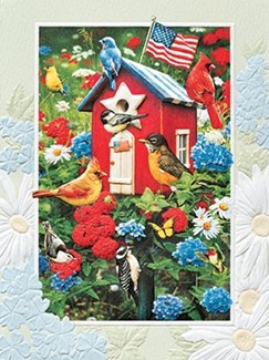 Stars Stripes & Songbirds (BDIN) Petite Folded - W/Env