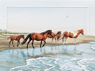 Ponies Of Chincoteague (BDIN) Petite Folded - W/Env