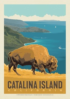 Catalina Bison Postcard