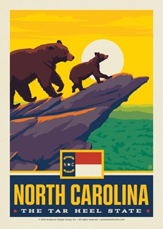 NC State Pride Postcard