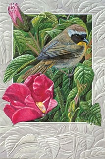 Common Yellowthroat (BK) Folded - W/Env