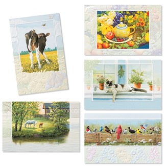 Pleasant Living 30 Card Occasion Assortment