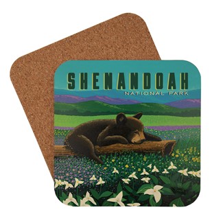 Shenandoah National Park Wildflower Cub Coaster