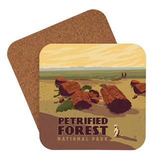 Petrified Forest National Park Coaster