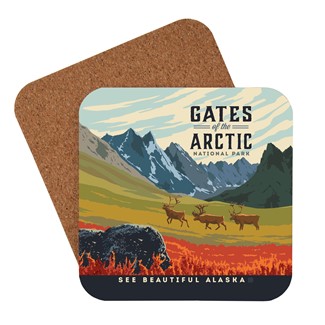 Gates of the Arctic National Park Coaster