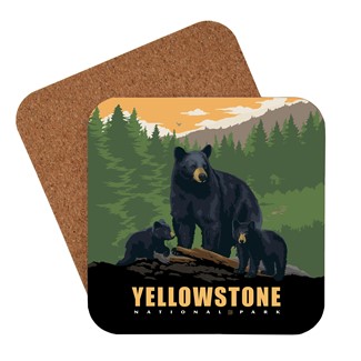 Yellowstone National Park Black Bear Family Coaster