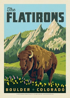 Bison The Flatirons, CO Postcard