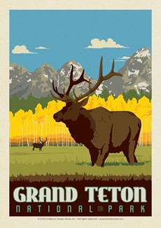 Grand Teton National Park Elk Postcard