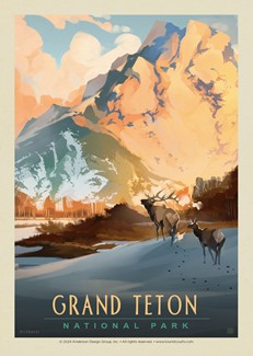 Grand Teton NP Winter Hush Postcard