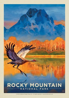 Rocky Mountain National Park Crane Postcard