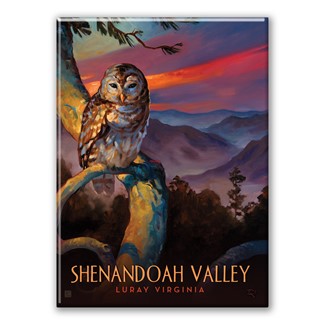Shenandoah Valley Luray Owl Magnet