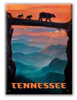 TN Bear Crossing Magnet