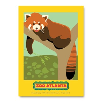 Atlanta Zoo Red Panda Vert Sticker