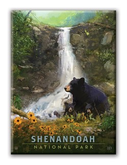 Shenandoah NP Bear Family Magnet
