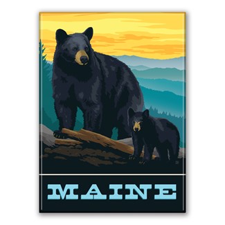 Maine Bears Magnet