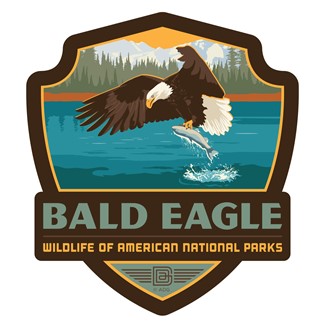 Wildlife Bald Eagle Emblem Sticker