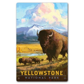 Yellowstone NP American Bison Magnetic Postcard