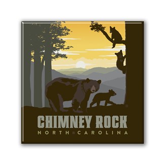 Chimney Rock, NC Bears Square Magnet